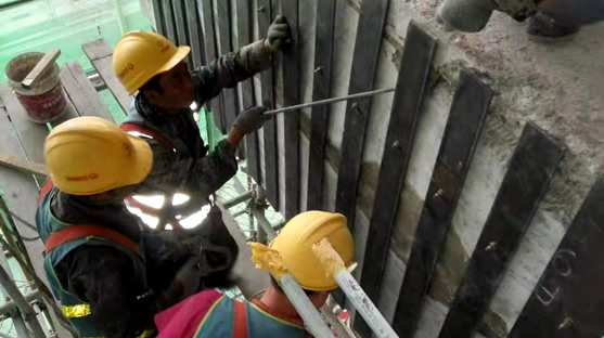 網格膜、網紋膜